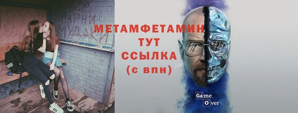 гидра Каменногорск