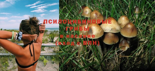 гидра Каменногорск