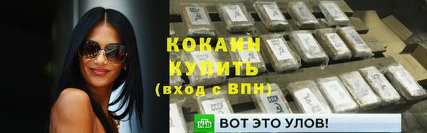 гидра Каменногорск