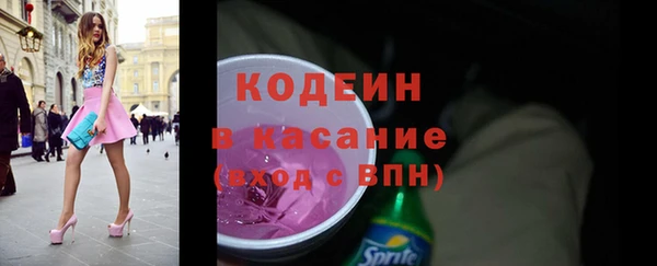 спайс Каменка
