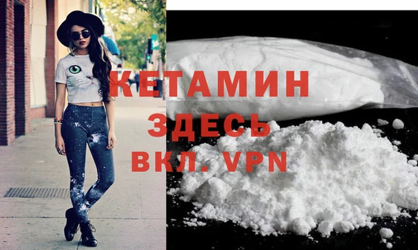 гидра Каменногорск