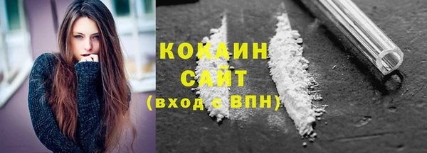 гидра Каменногорск