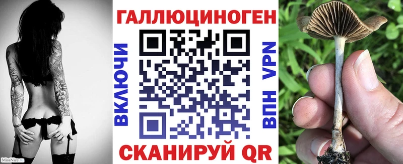 Псилоцибиновые грибы MAGIC MUSHROOMS  купить наркотики сайты  МЕГА рабочий сайт  Куртамыш 
