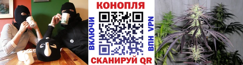 цена наркотик  Куртамыш  Бошки Шишки индика 